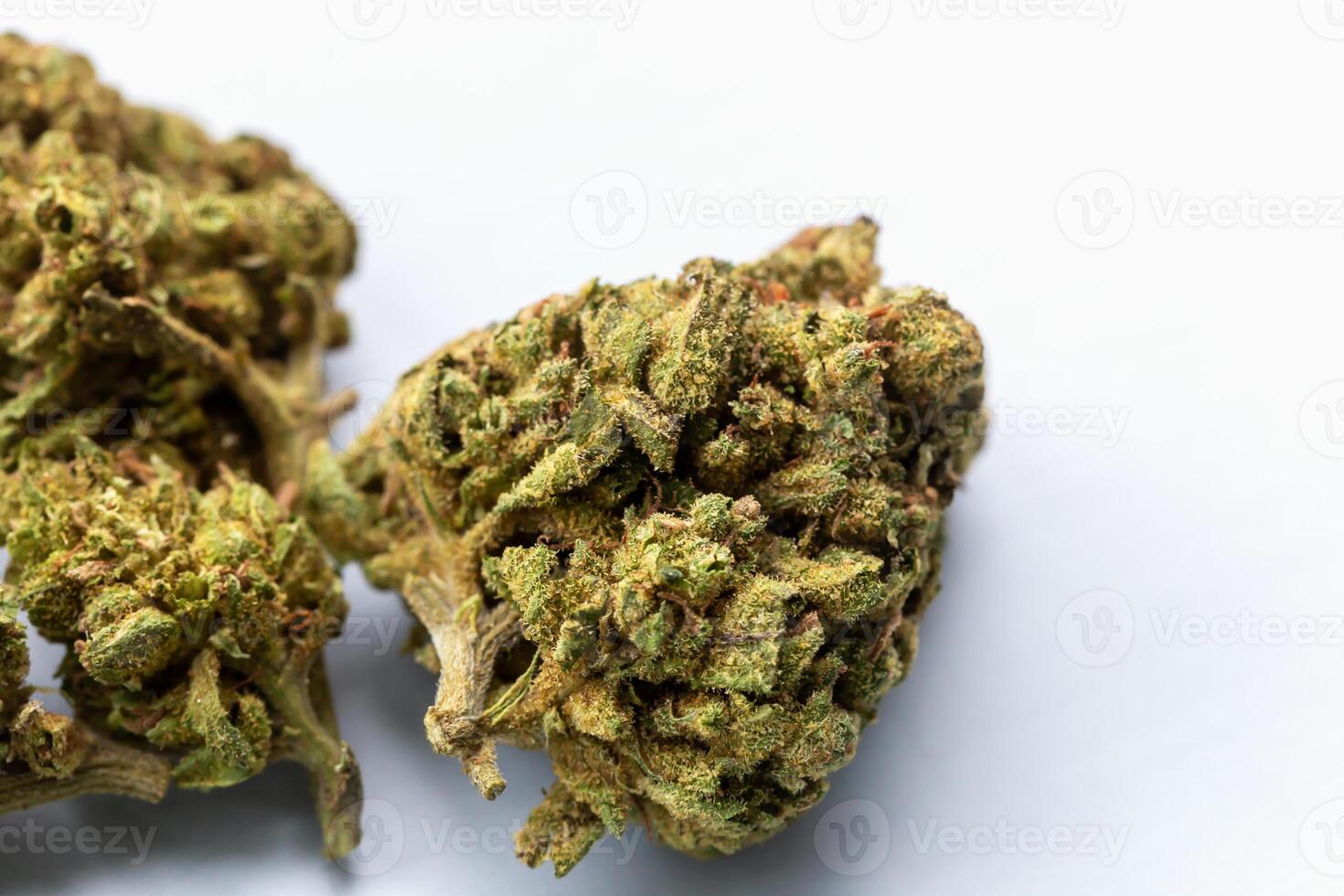 Close-up view of dried cannabis flower buds on white background with detailed texture and natural green and orange hues. Concept of medical marijuana, hemp products or herbal wellness. Cannabis flower photo