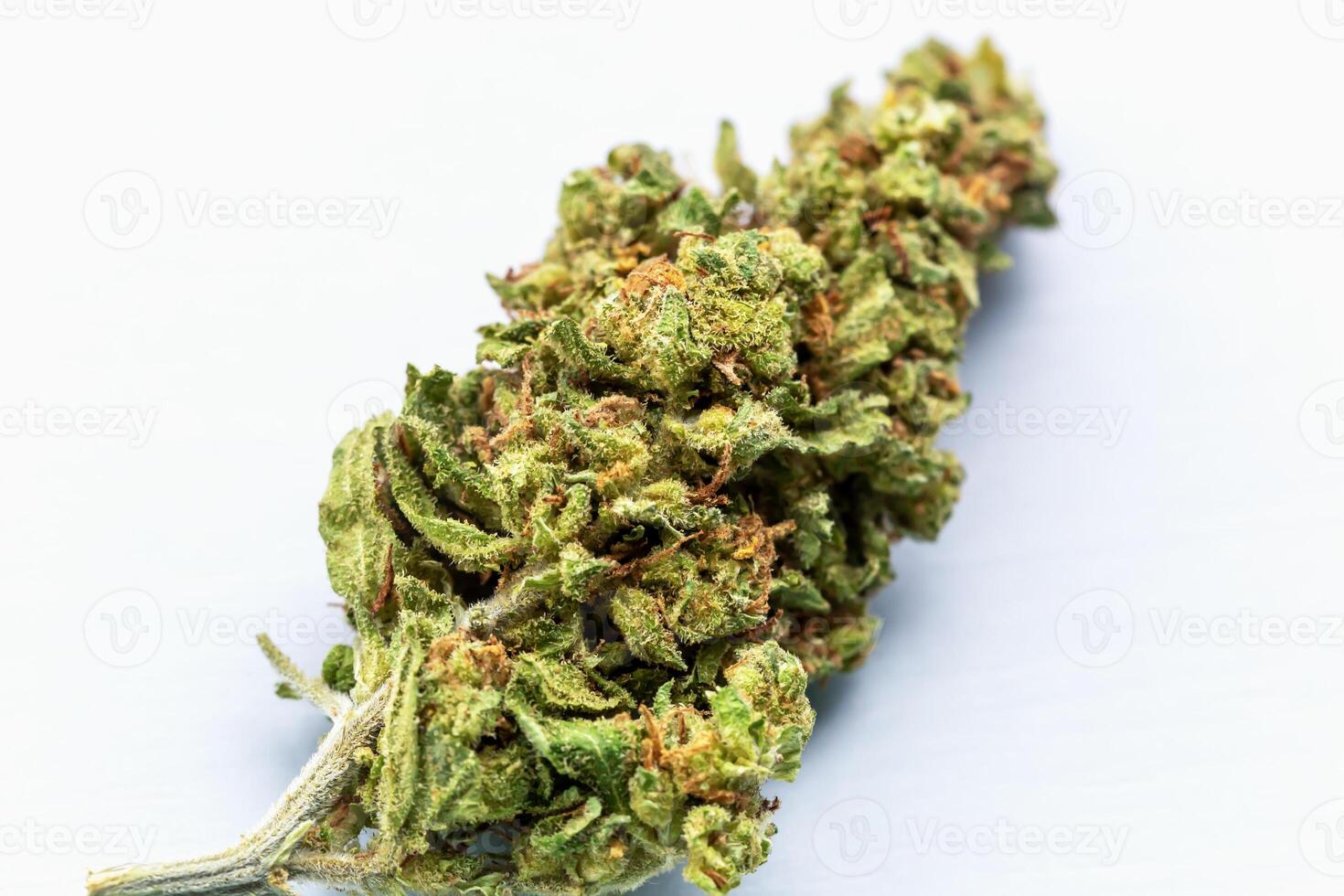 Close-up single cannabis flower bud with detailed texture and visible trichomes, isolated on clean white background for medical or herbal product concept. Single cannabis bud on white background photo