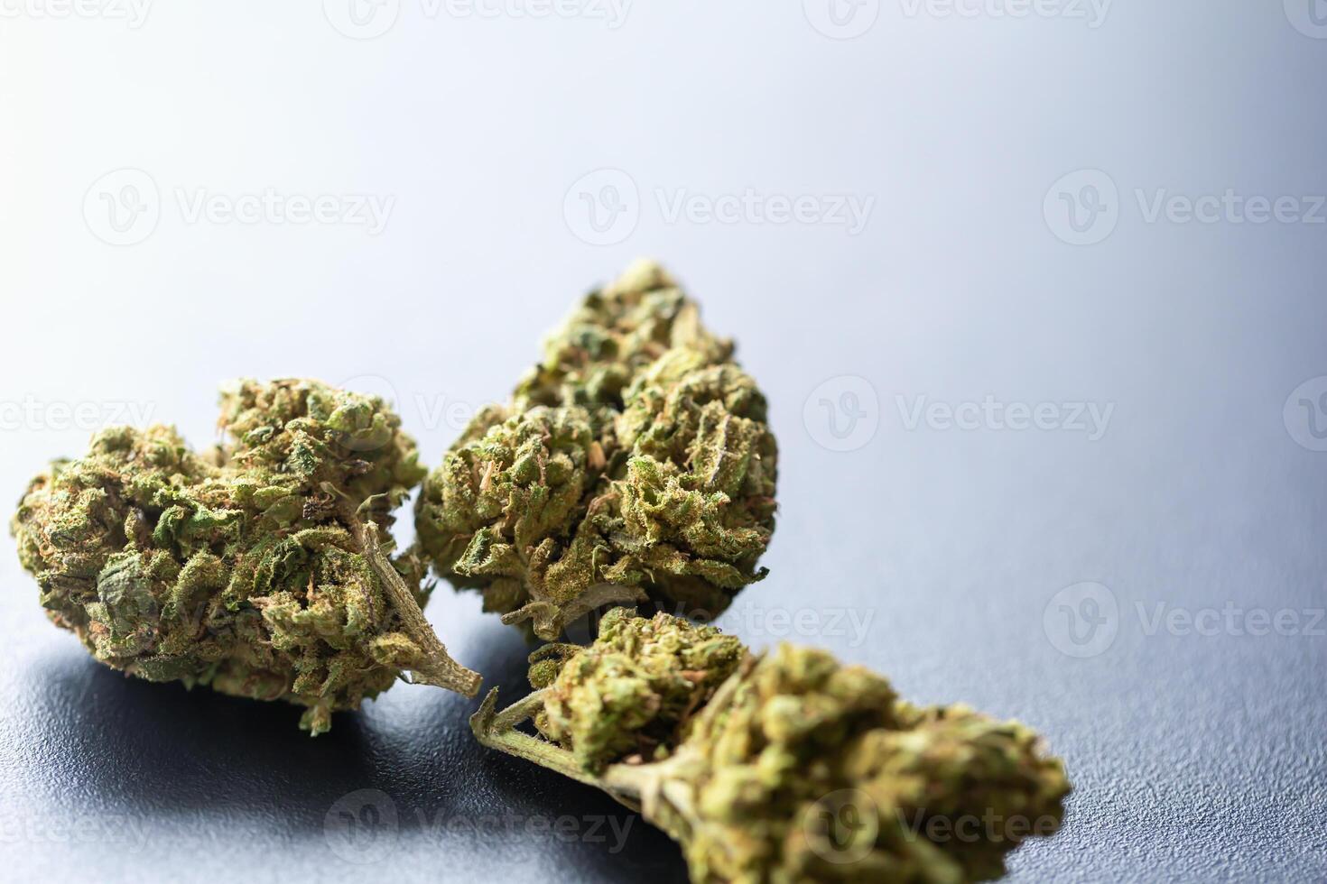 Macro shot of dried cannabis buds arranged on smooth gray background. Concept of CBD products, medical marijuana or alternative treatments. Cannabis buds on gray surface photo