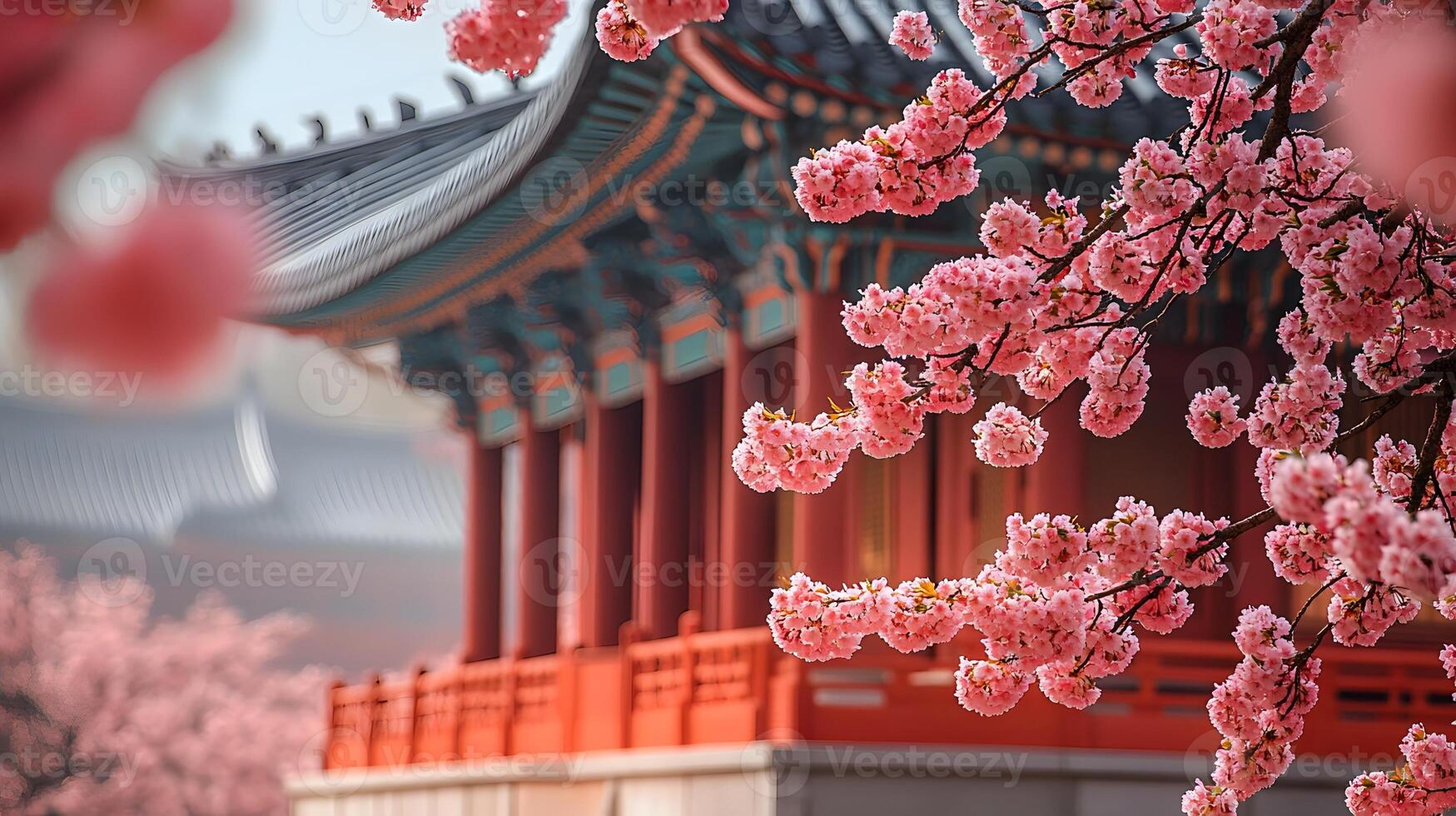 the vibrant cherry blossom season as you explore Japan South Korea and Washington D.C. where colorful blooms paint the skies and create a serene atmosphere of springtime beauty. photo