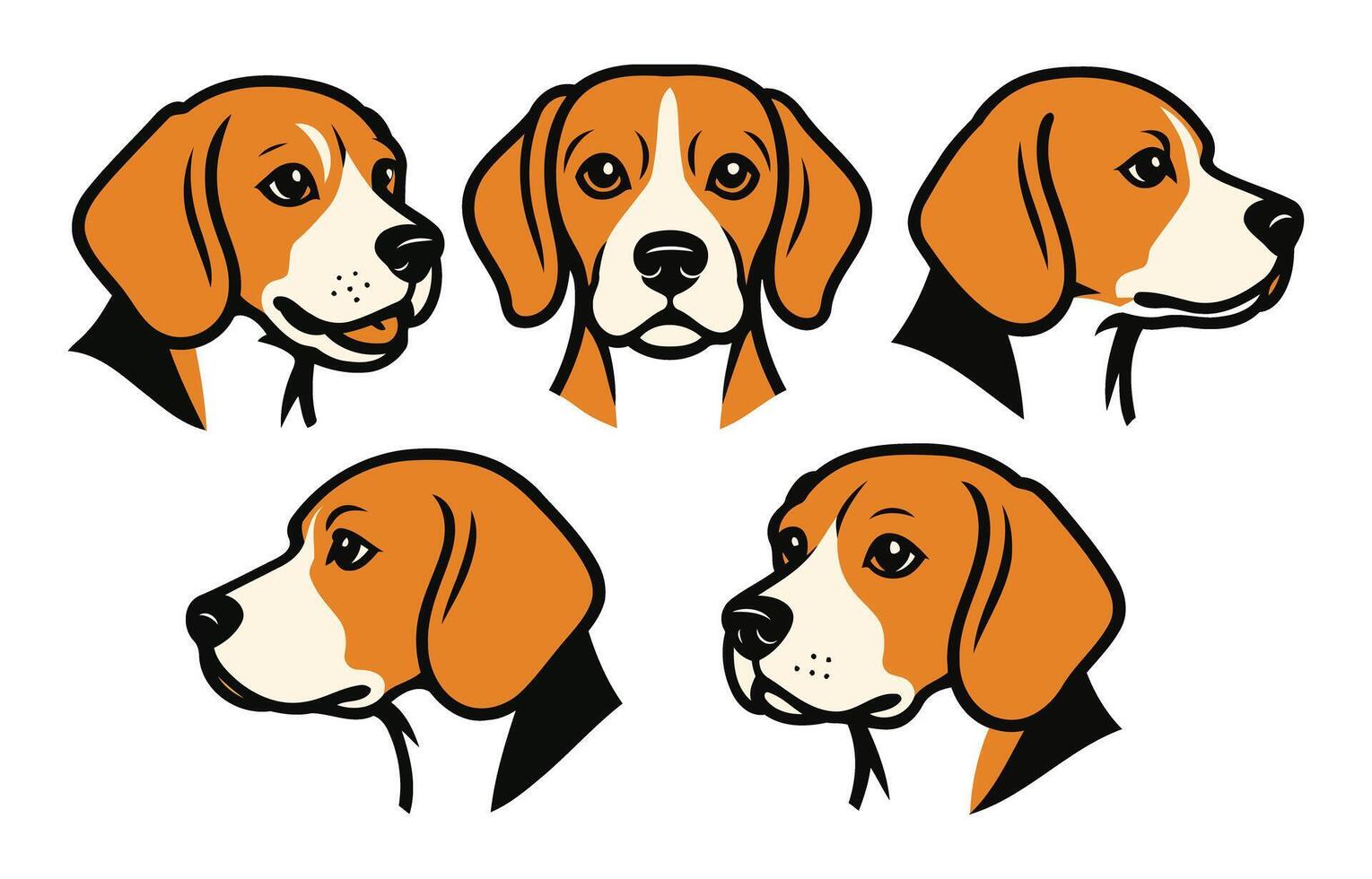 Set of Cute Beagle Dog Illustrations Featuring Different Head Views vector