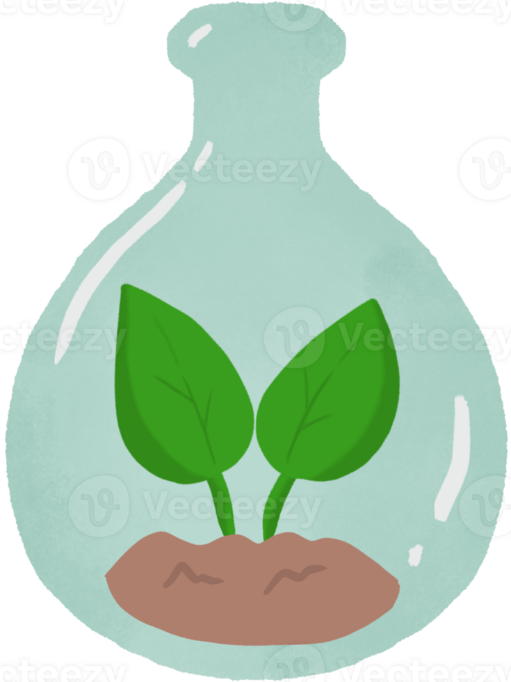 Plant in jar png