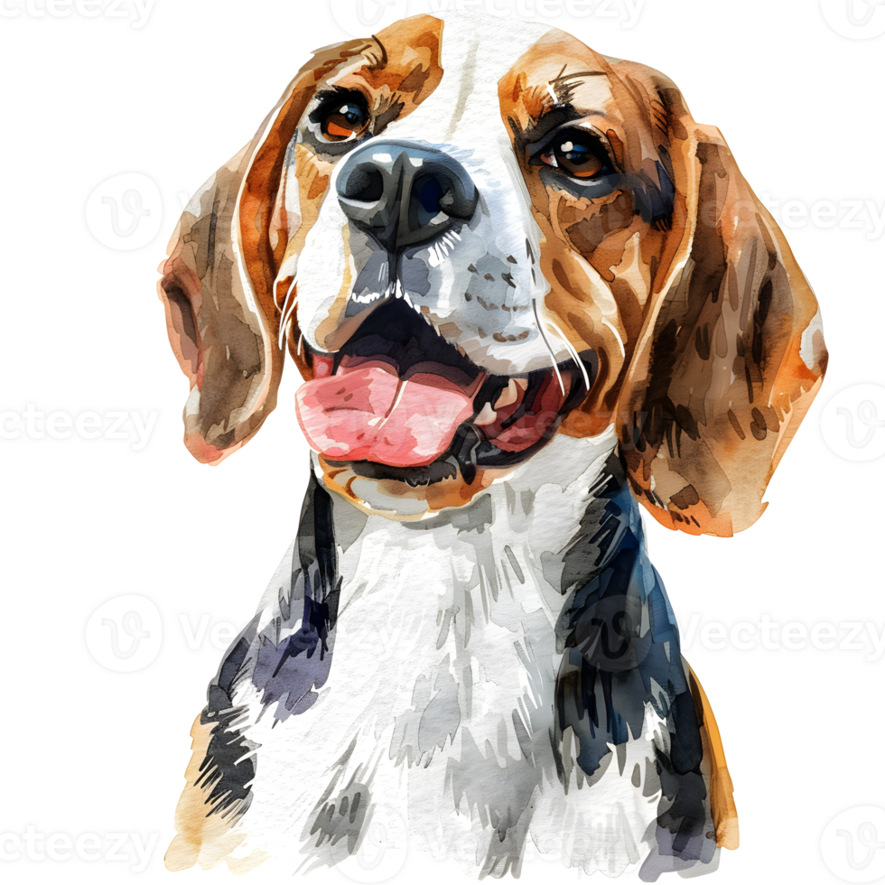 A vibrant watercolor portrait of a Beagle its warm eyes and friendly expression capturing the breeds playful spirit png