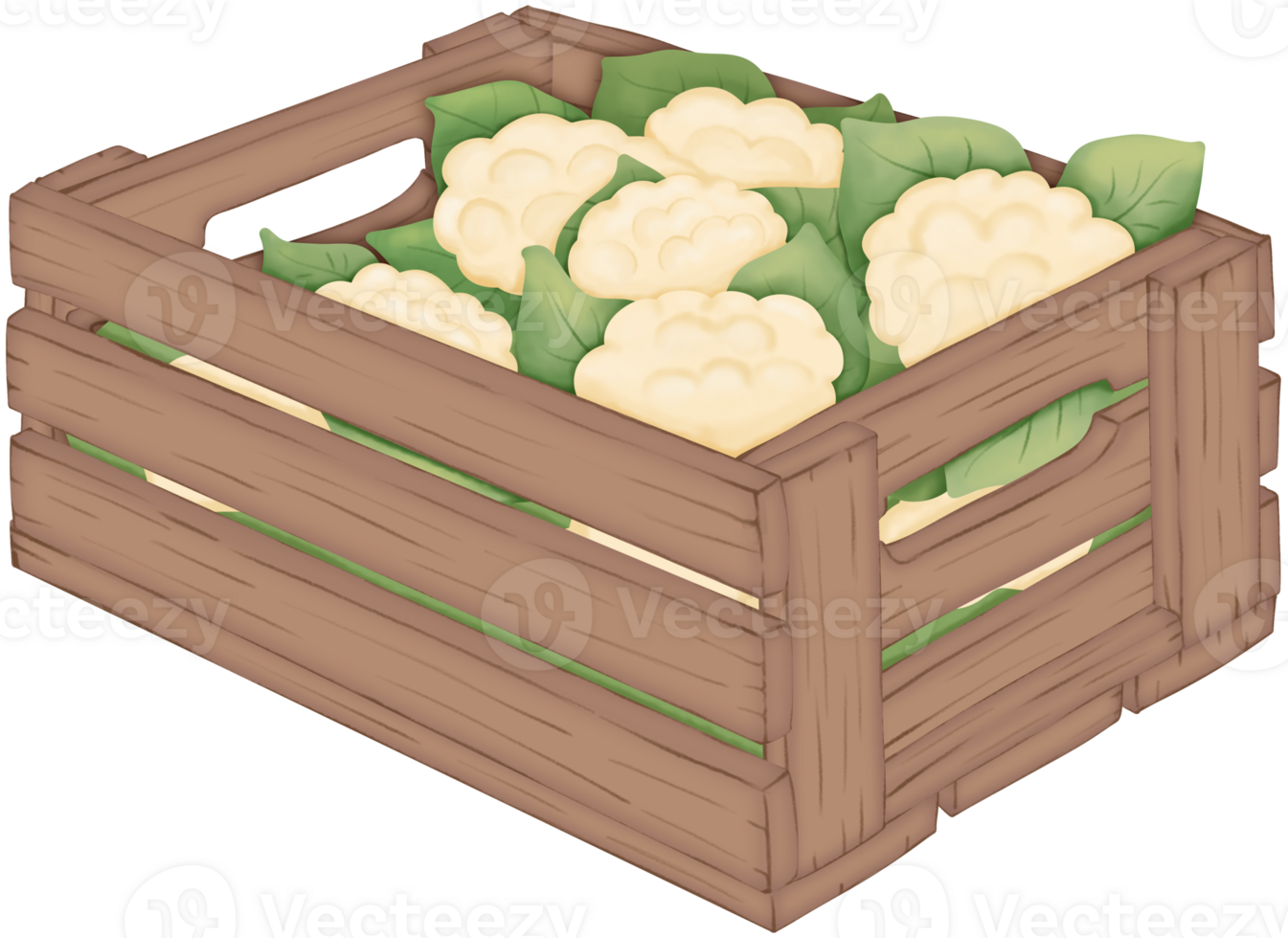 Cauliflower in a wooden box on transparent background png