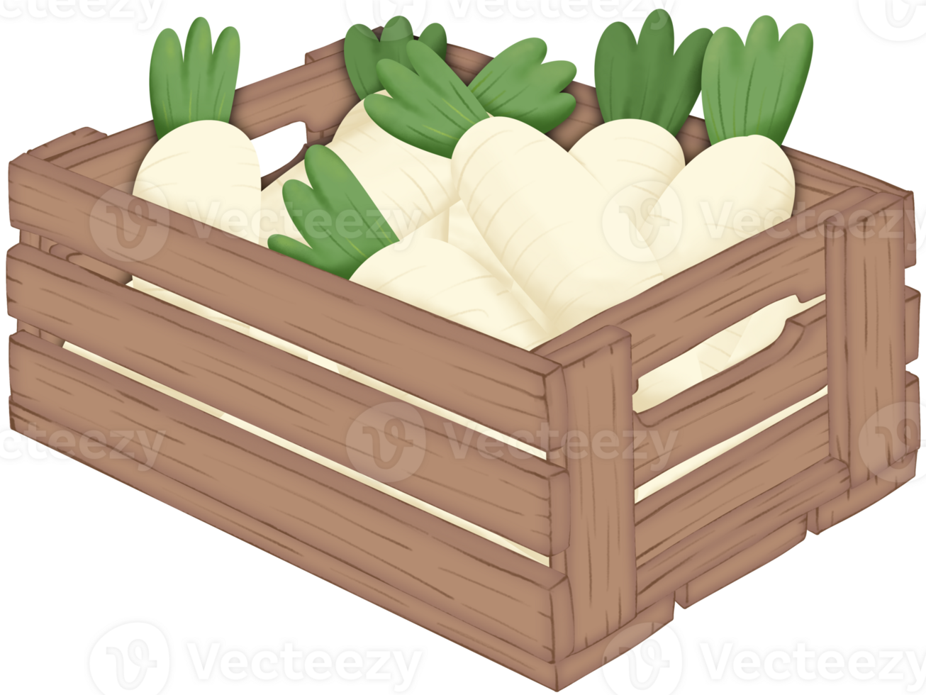 Radish in a wooden box on transparent background png