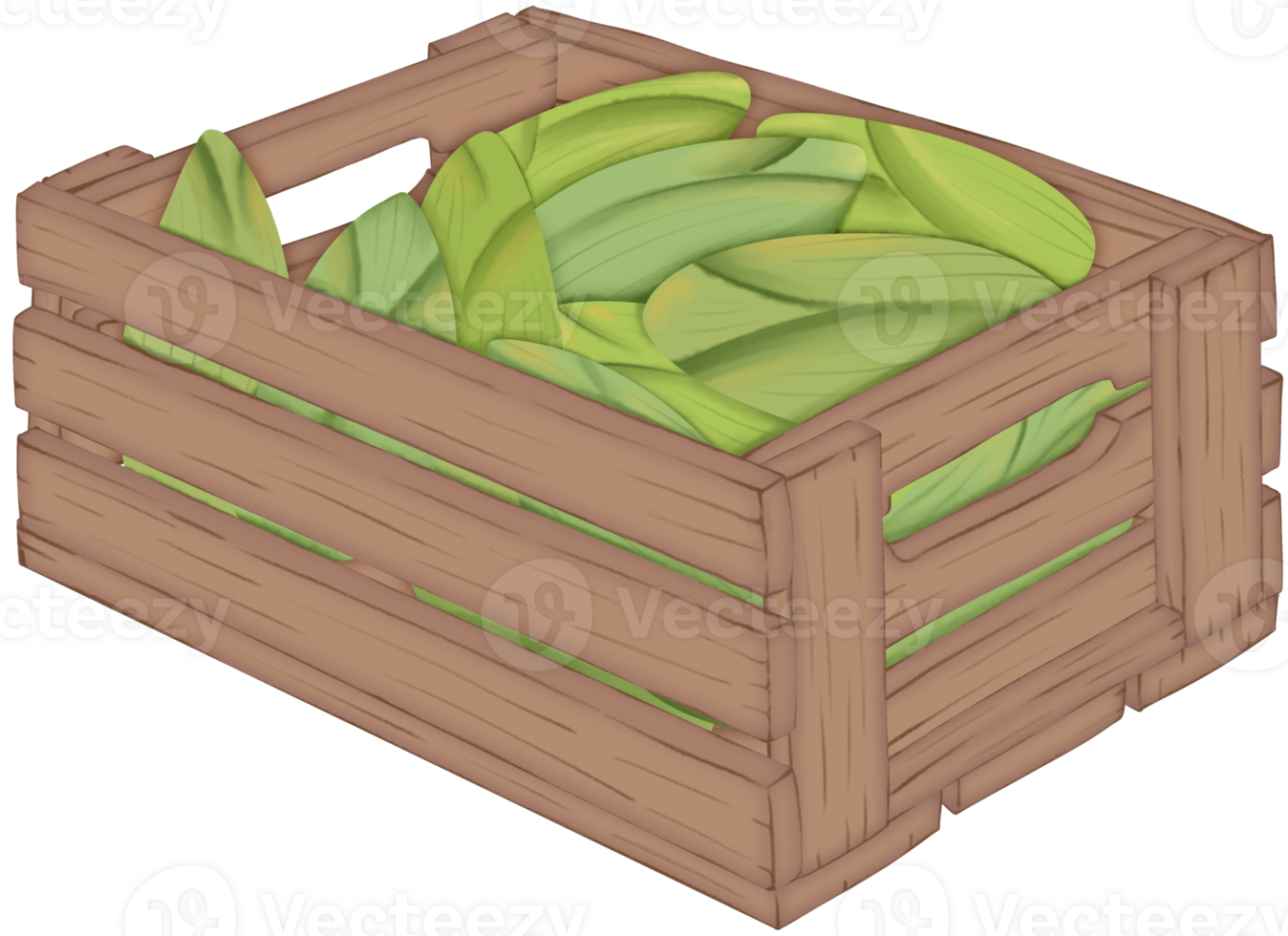 Sweet corn, in a wooden box on transparent background png