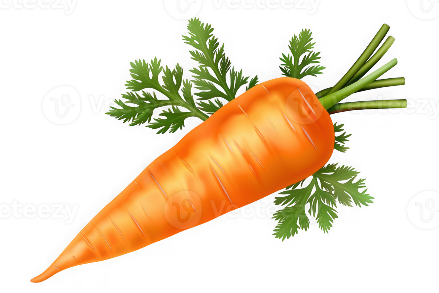 Carrot on transparent background png