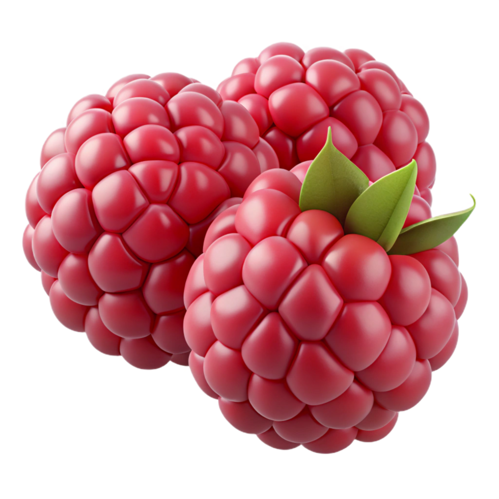 magnificent traditional One cluster of raspberries premium png