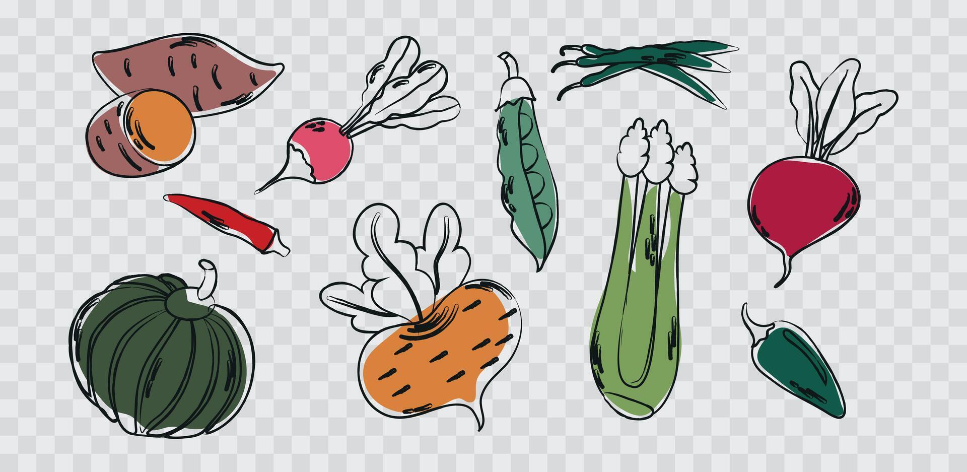 Set collection of different vegetables wit grunge sketched outline. Eco healthy food vegan concept. vector