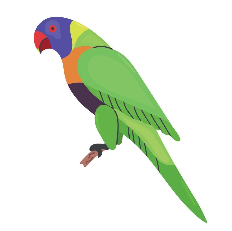 Rainbow lorikeet icon clipart avatar logotype isolated illustration vector
