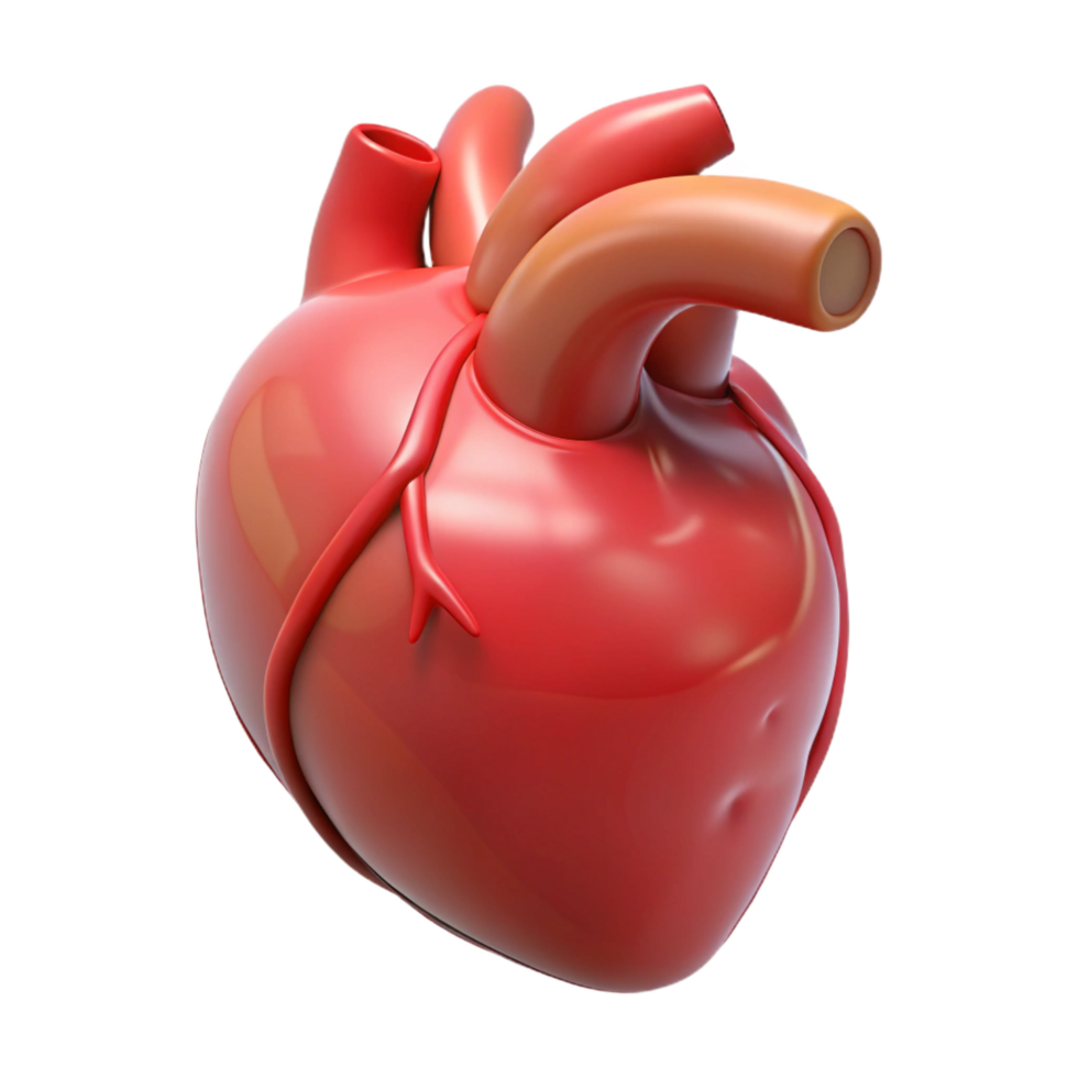 dramatic traditional Human heart, detailed png