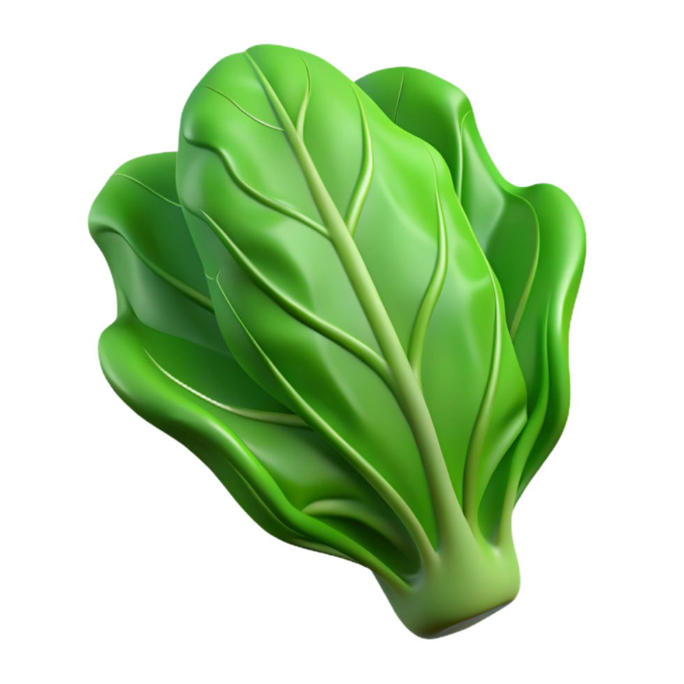 magnificent classic Green leaf of lettuce exclusive png