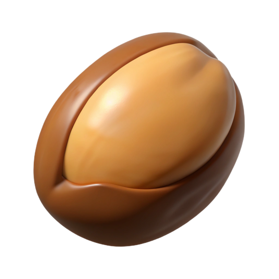 stunning contemporary Brazil nut, whole high resolution png