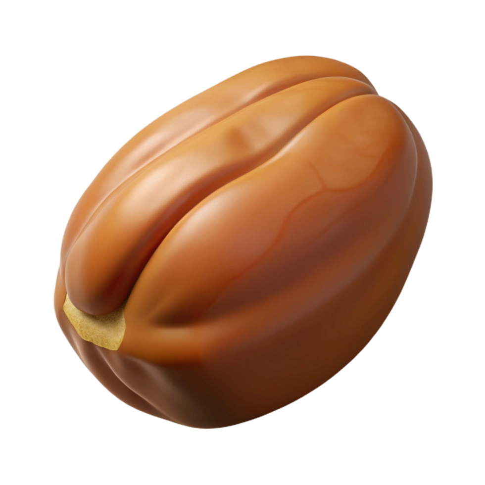 stunning contemporary Brazil nut, whole professional png
