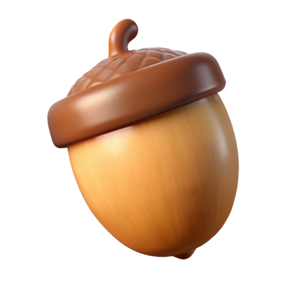 serene rustic Acorn high resolution png
