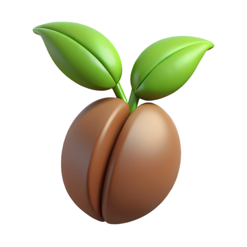 wonderful traditional A single coffee bean sprout, high quality png