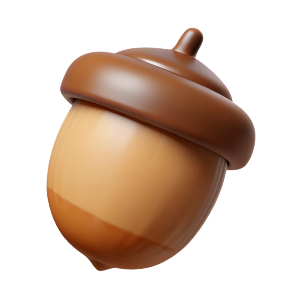 wonderful modern One brown acorn with cap 4K png