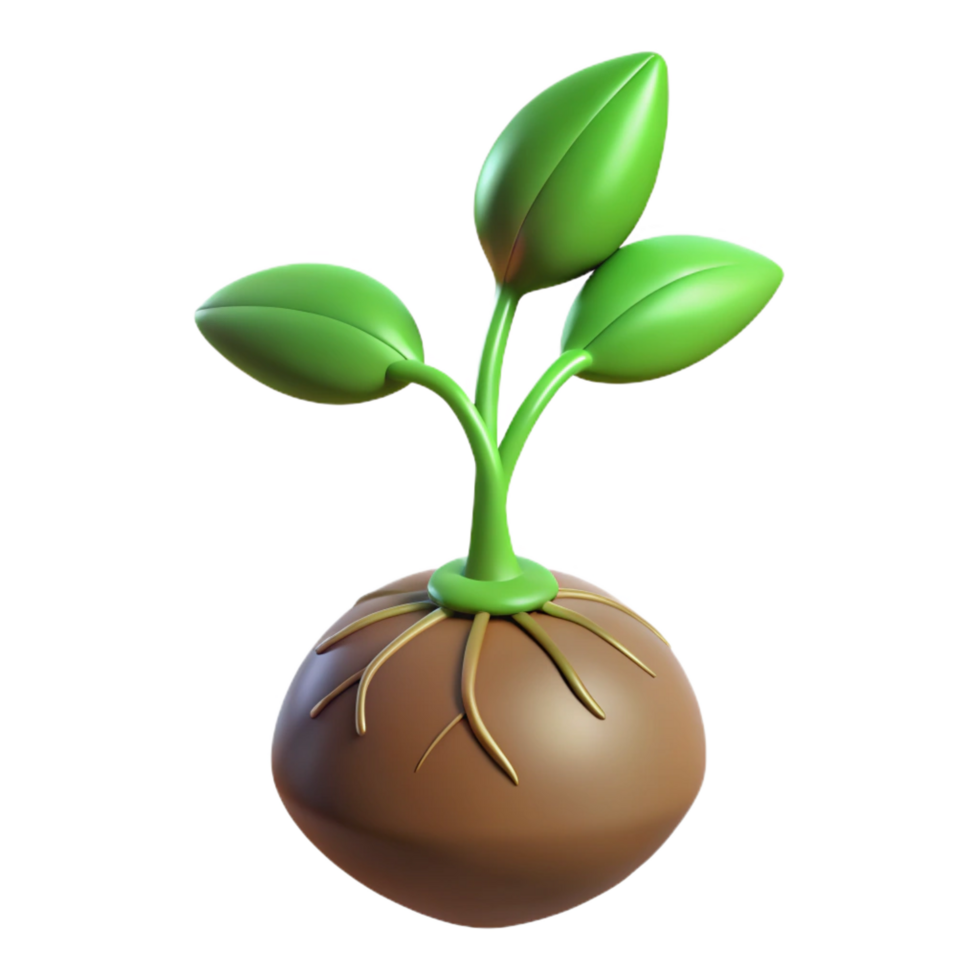 elegant rustic Single sprouting seed with roots and leaves 4K png