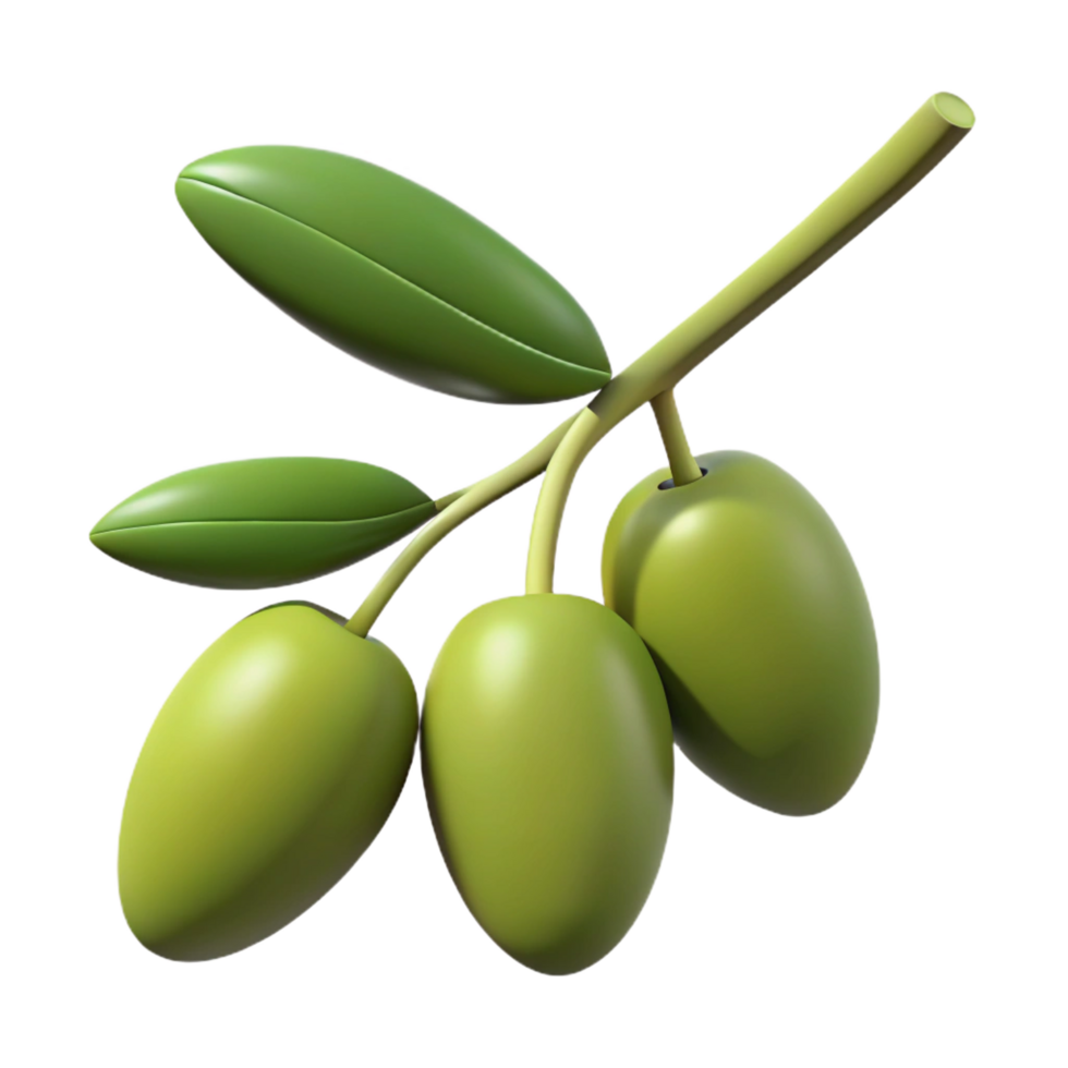 magnificent modern One branch of olive tree with green olives exclusive png