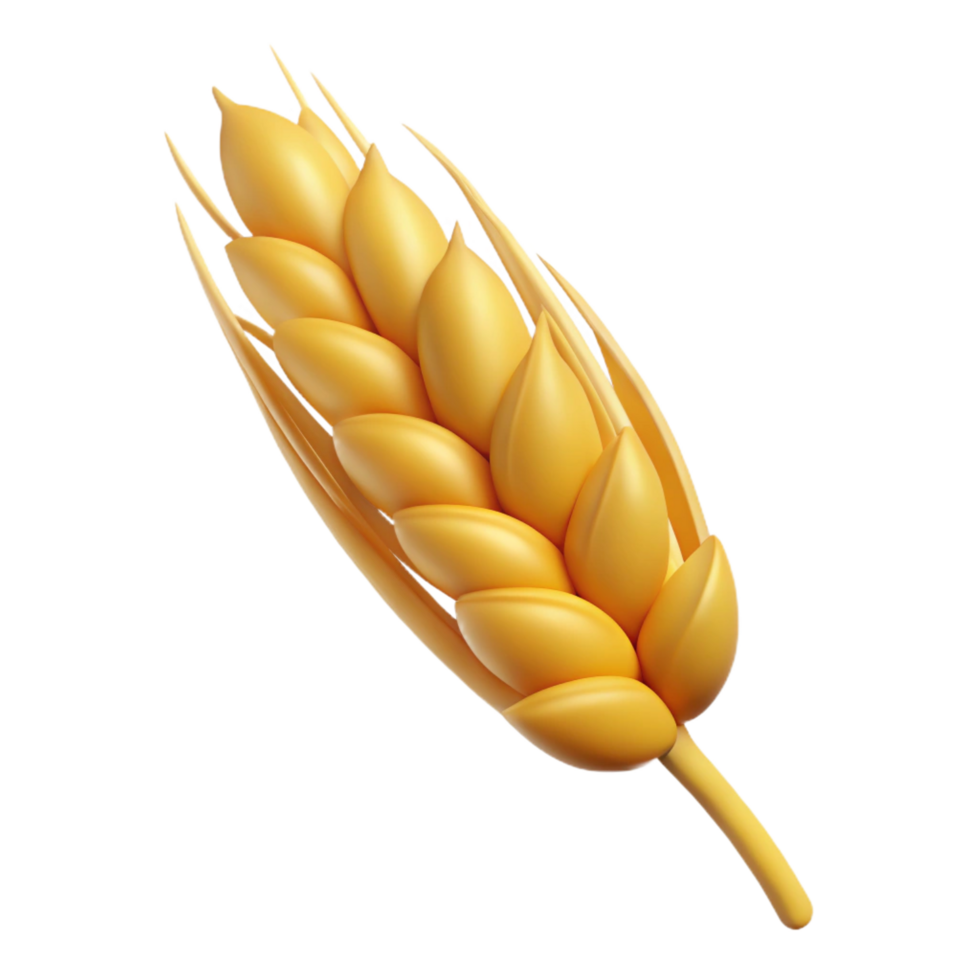 dramatic minimalist One ear of wheat high resolution png