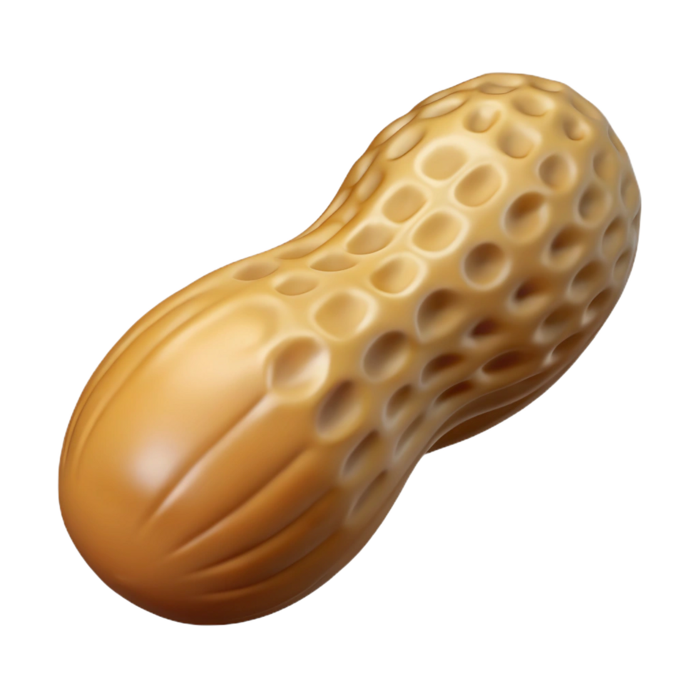 extraordinary creative Single peanut in shell genuine png