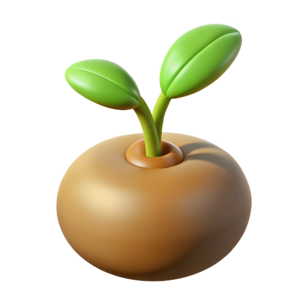 wonderful abstract One sprouting lentil authentic png