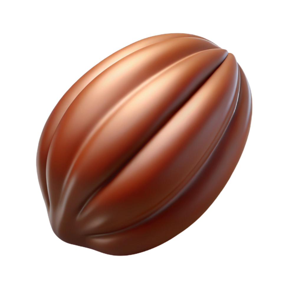 beautiful minimalist Single cocoa bean exclusive png