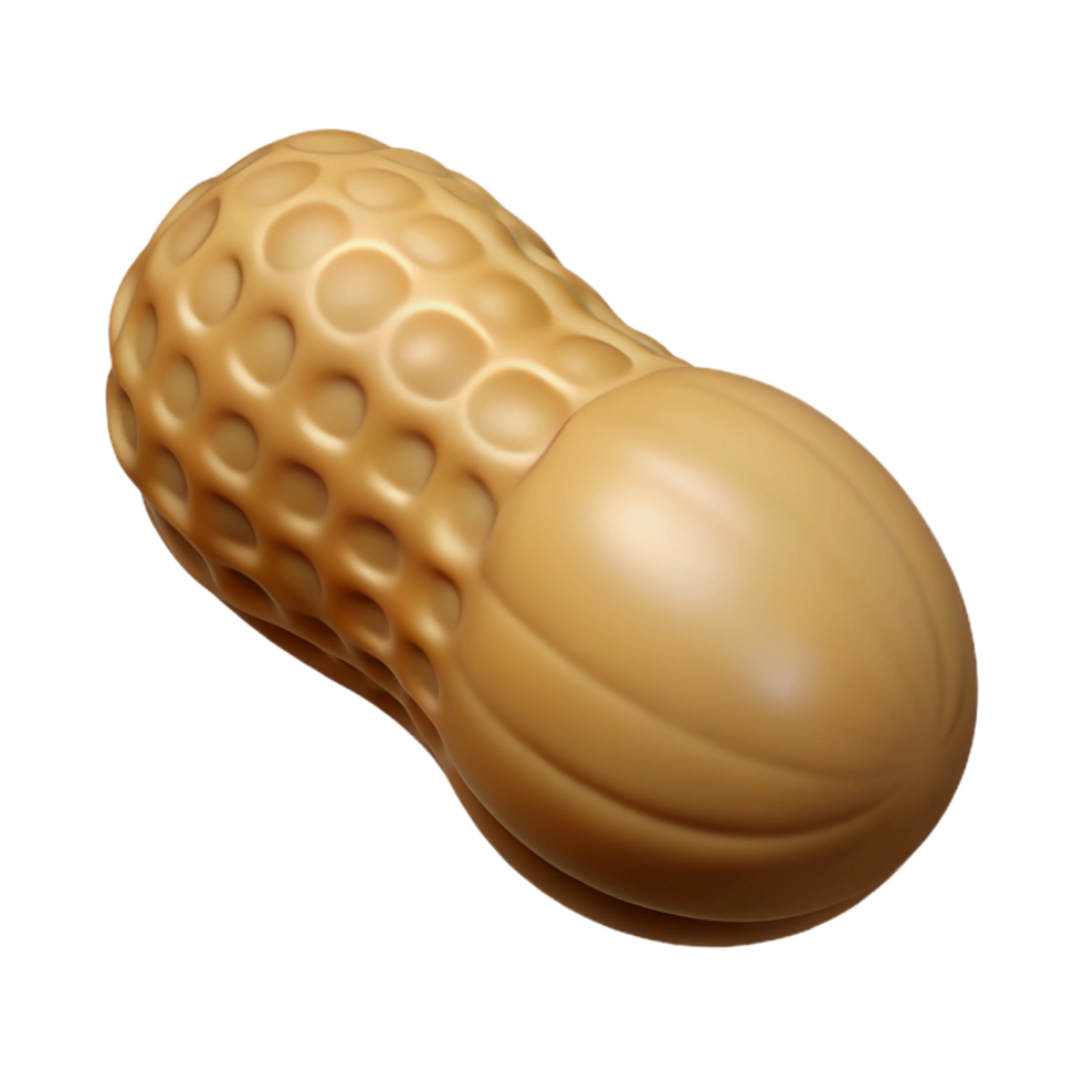 beautiful modern Single peanut in shell exclusive png