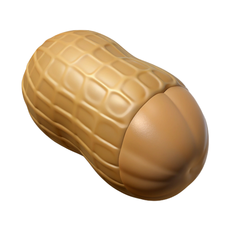 elegant minimalist Single peanut in shell authentic png