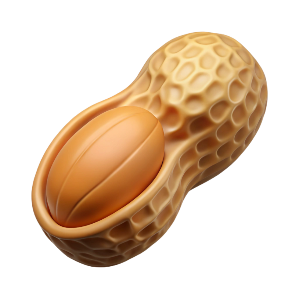 magnificent abstract Single peanut in shell professional png