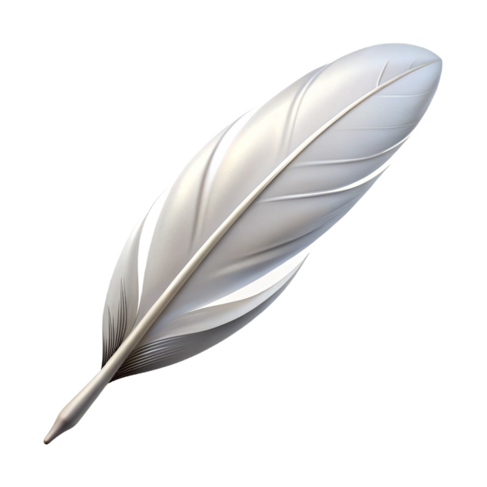 beautiful classic Single feather, white 4K png