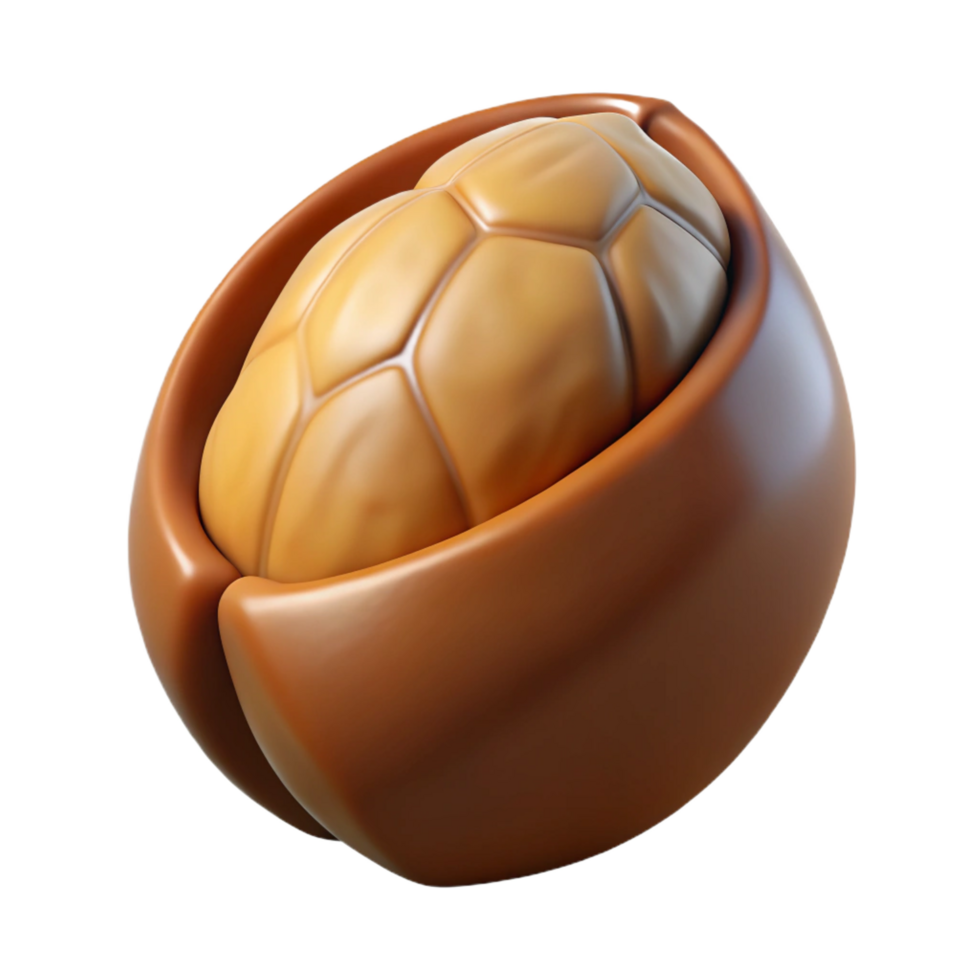 extraordinary classic Brazil nut in shell genuine png