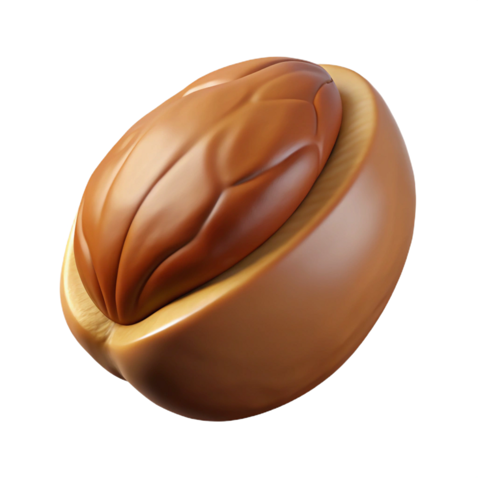 beautiful creative Brazil nut in shell exclusive png