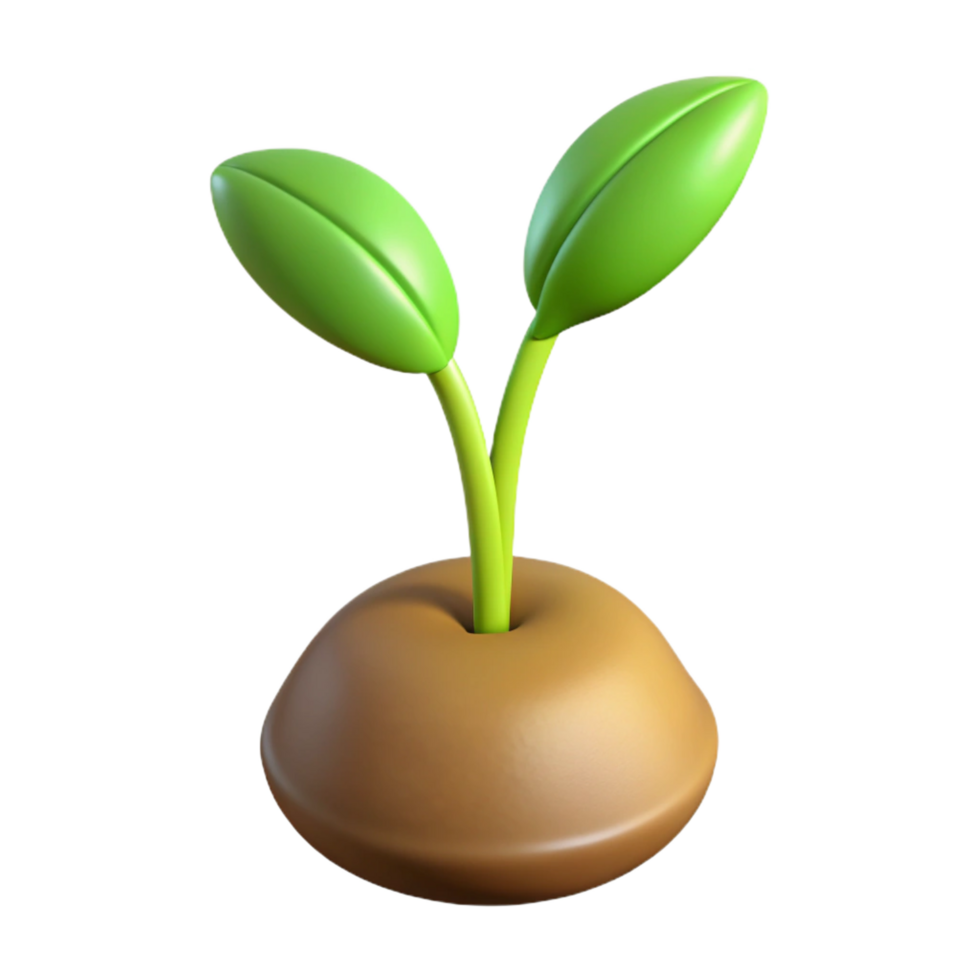 stunning rustic One sprouting seedling high resolution png