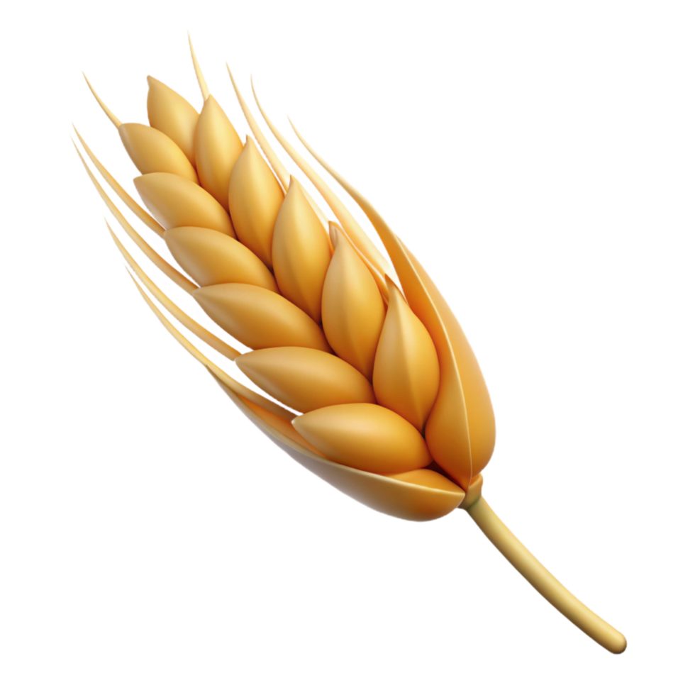 dramatic modern Close-up of a wheat stalk premium png