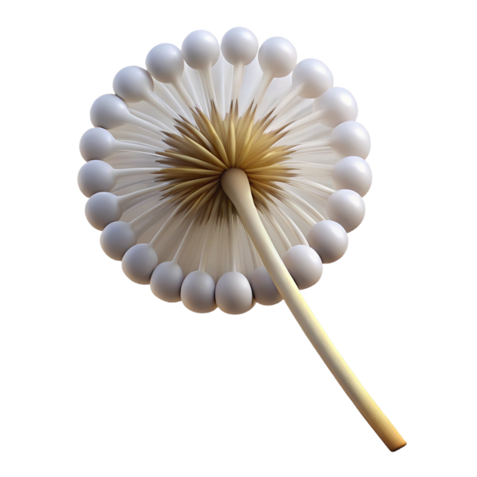 elegant abstract Open dandelion seed head professional png