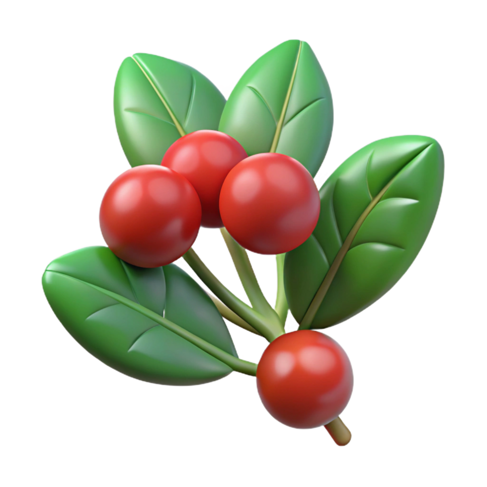 dramatic abstract Mistletoe sprig with berries premium png
