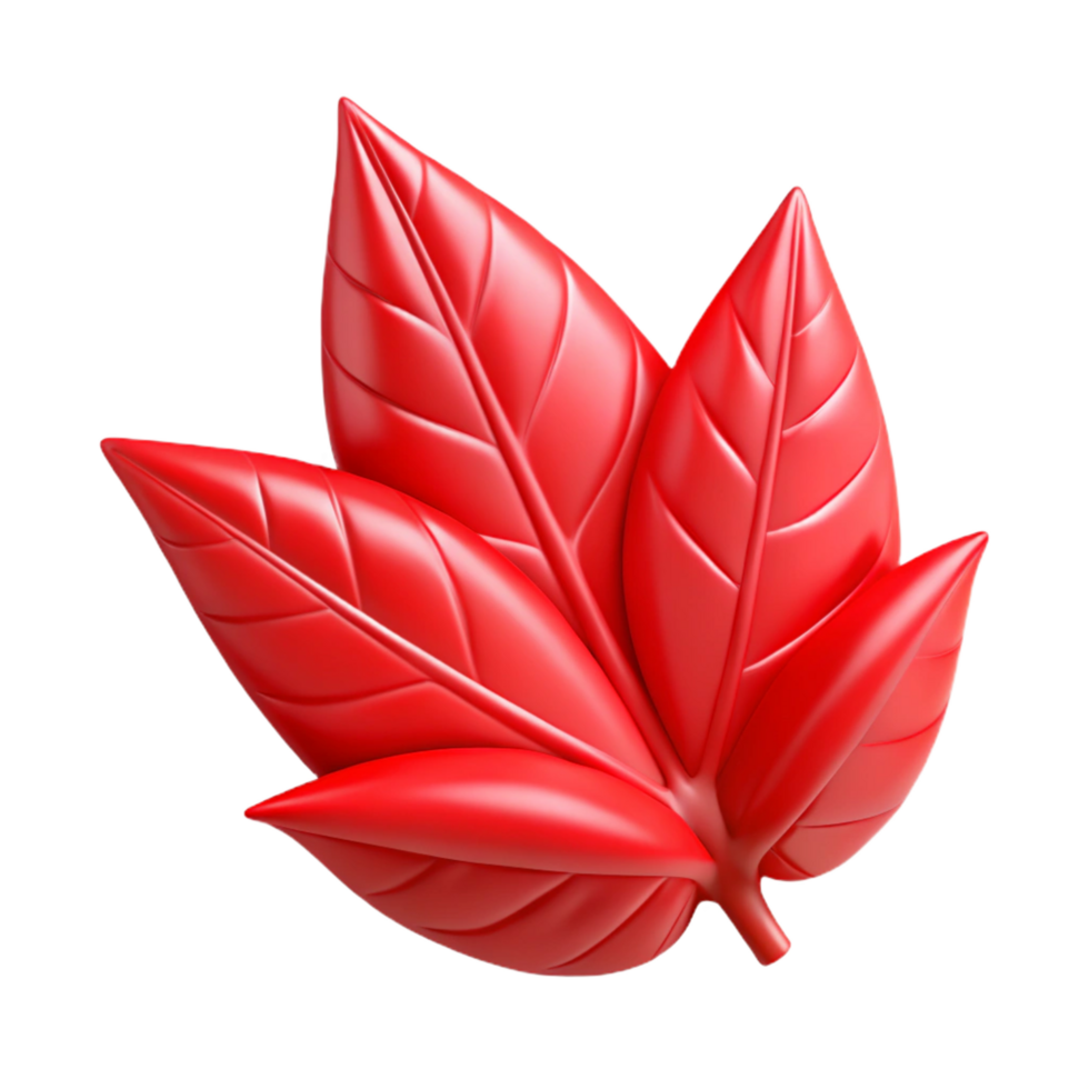 magnificent rustic Single poinsettia leaf, red high quality png