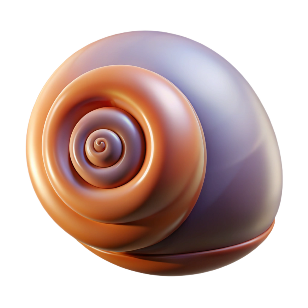 magnificent contemporary Snail shell, spiral high resolution png