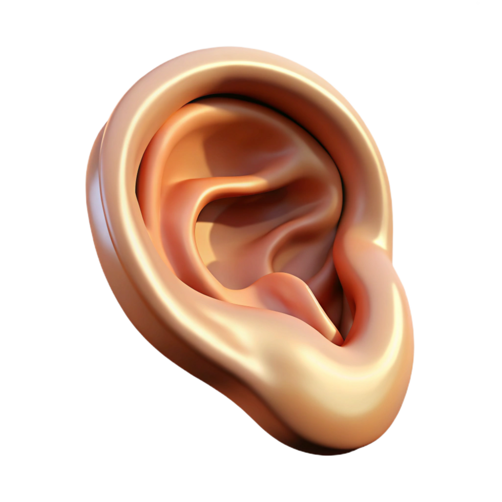 dramatic vintage A realistic, human ear original png