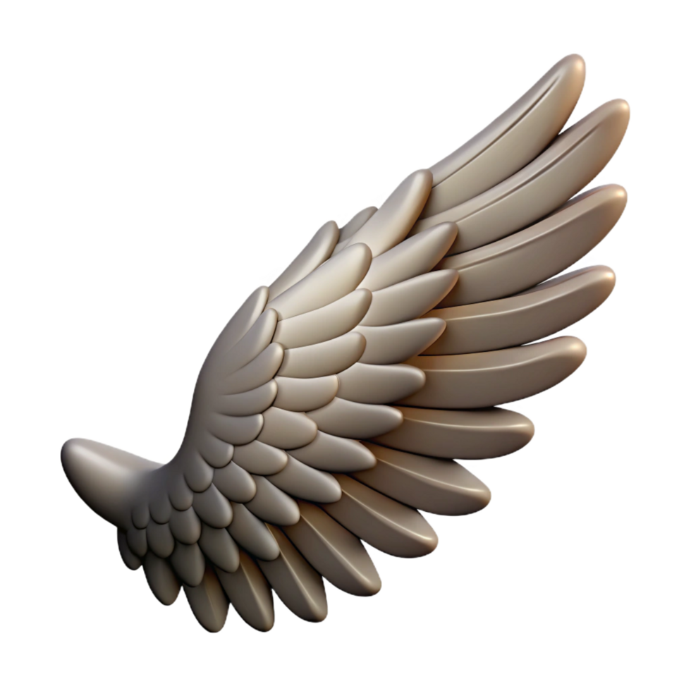 beautiful rustic Griffin's Wing, single feathered wing, high resolution png