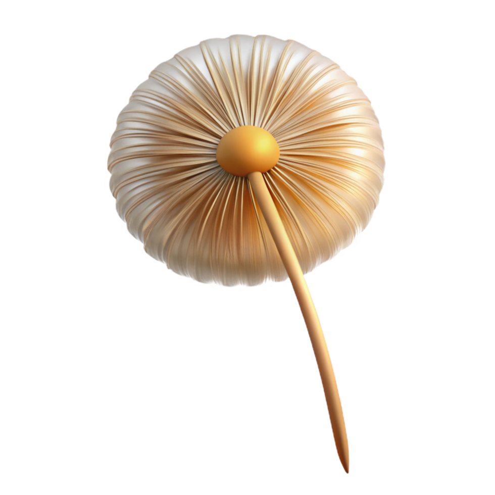stunning rustic Single dandelion seedhead high quality png