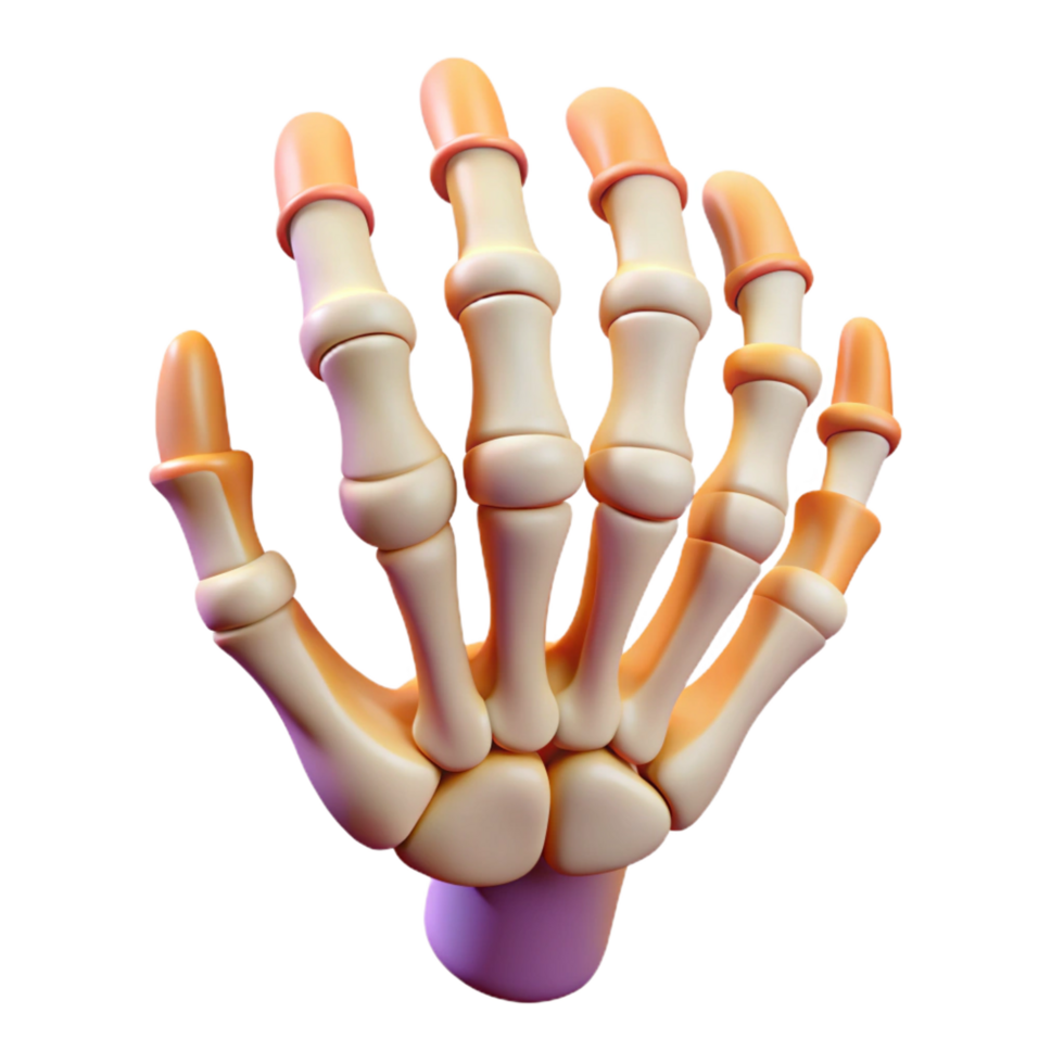 wonderful traditional A stylized, cartoon skeleton hand detailed png
