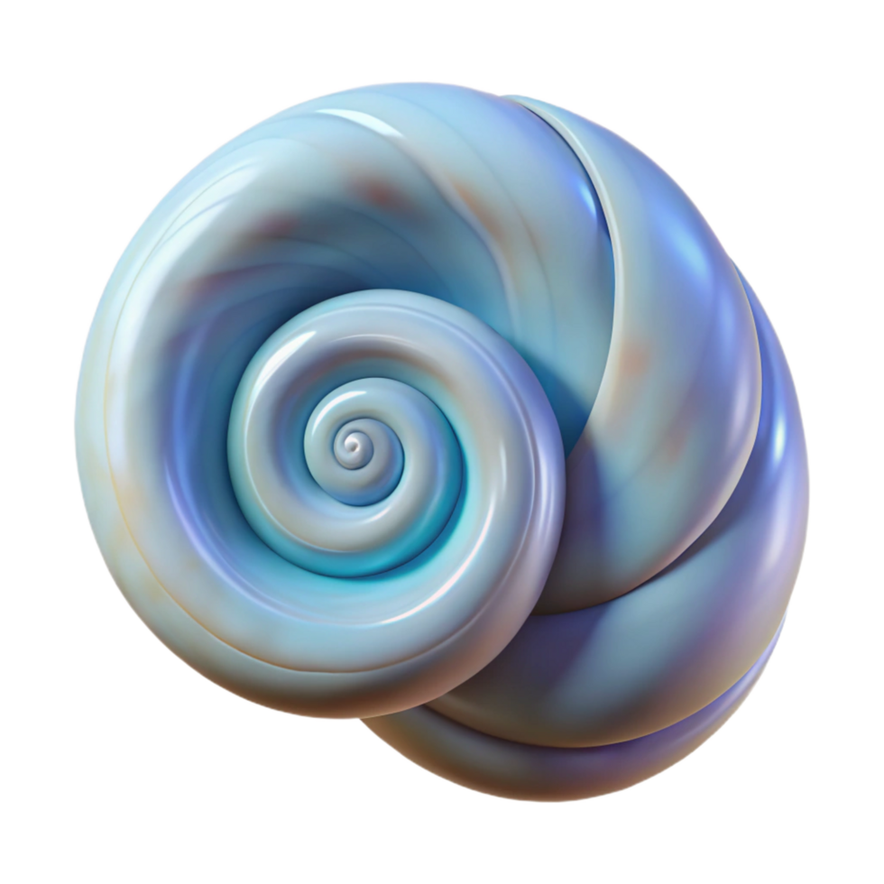 beautiful modern Spiral seashell original png