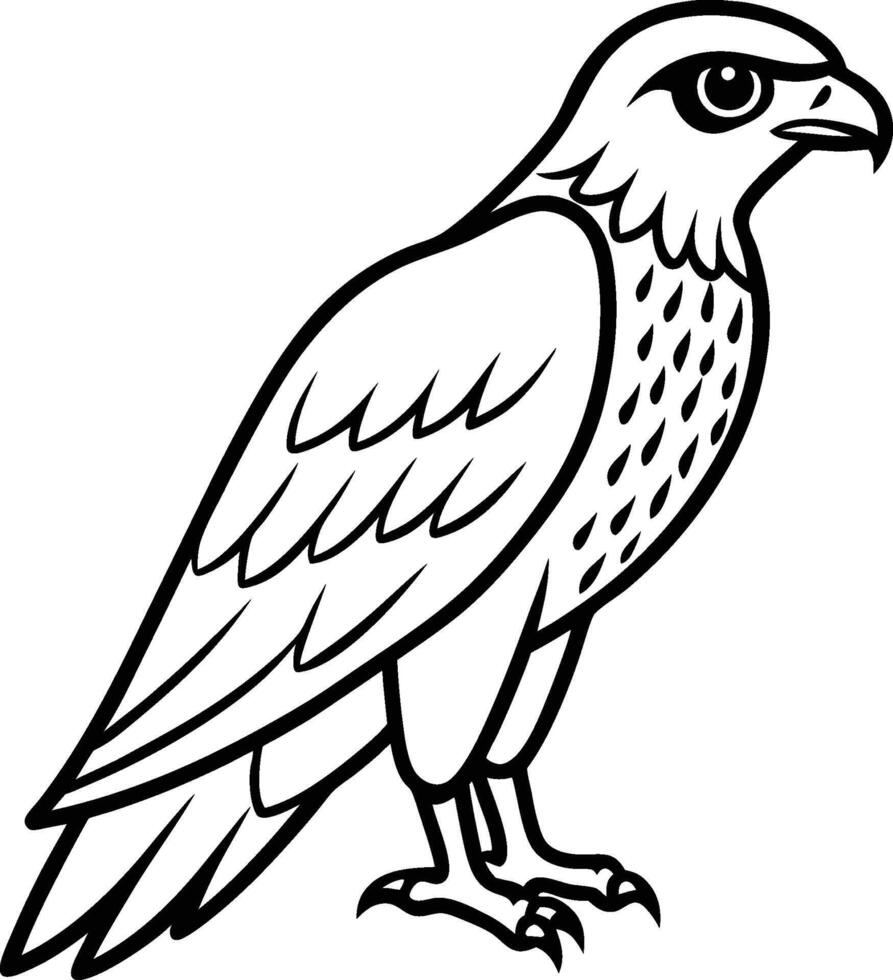 Sharp Hawk Line Art Predatory Bird Outline for free vector