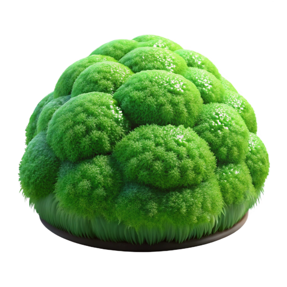 wonderful minimalist Green moss clump 4K png