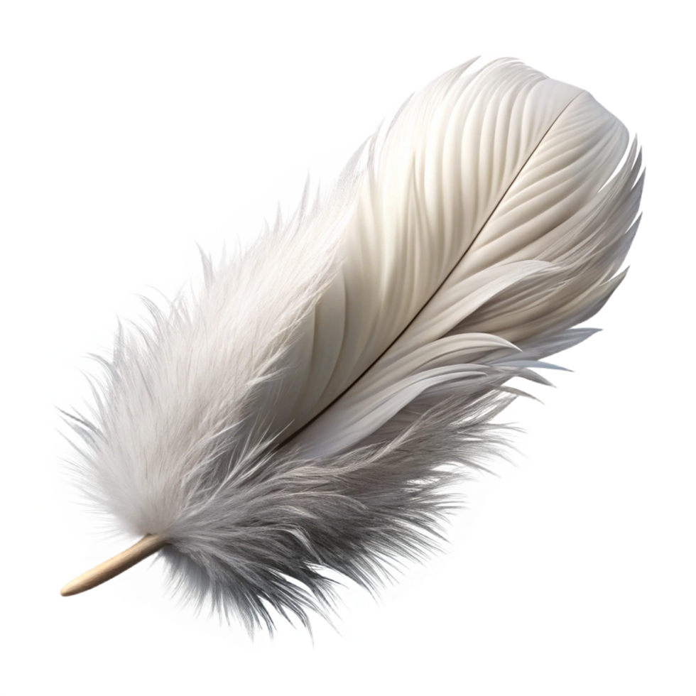 serene abstract Feather, white, fluffy detailed png