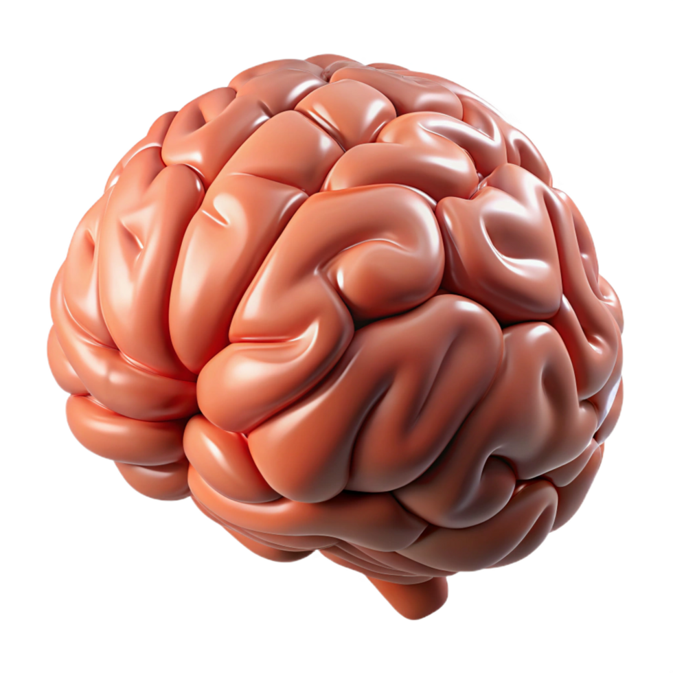vibrant modern A detailed, realistic rendering of a human brain, detailed png