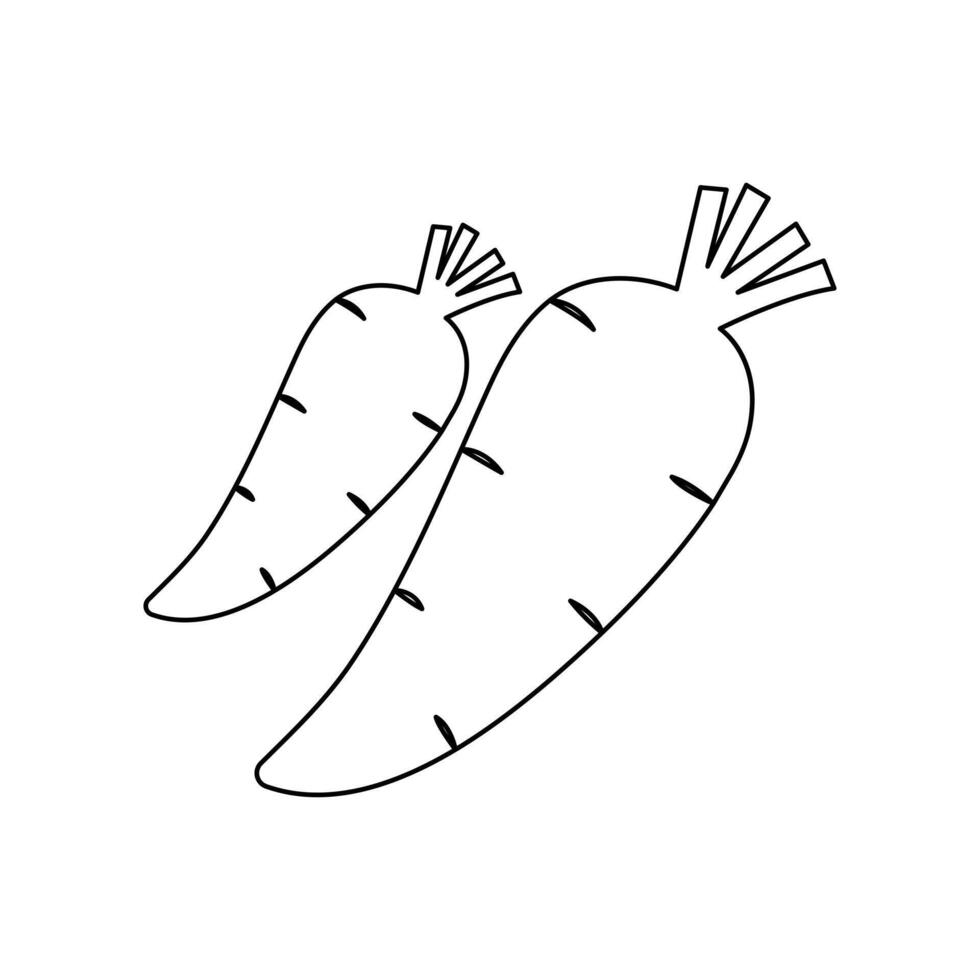 A single line turns an everyday vegetable into a piece of modern art vector