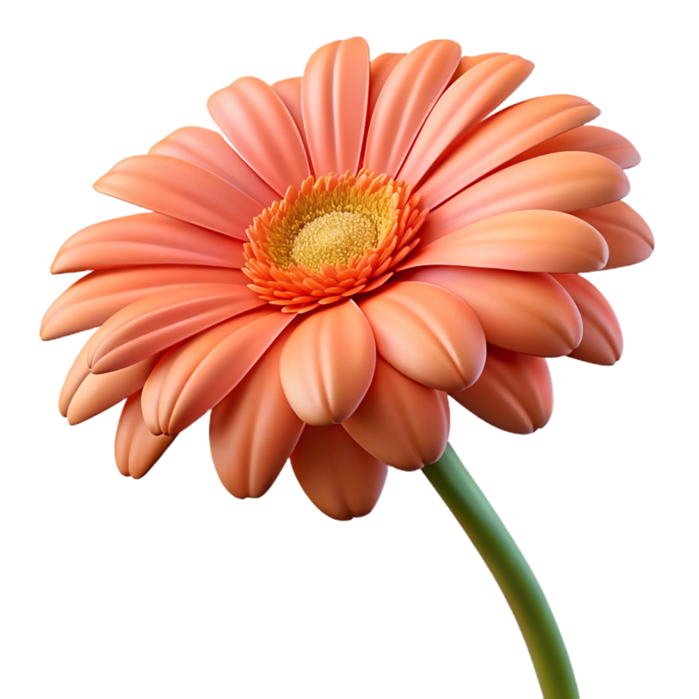 impressive abstract Single gerbera daisy original png